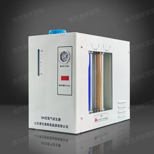 山东赛克赛斯 高纯氢气发生器 碱液电解 SHC-300/SHC-500/SHC-1000型